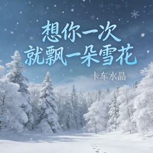 想你一次就飘一朵雪花
