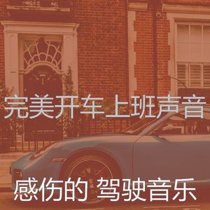 一尘不染汽车印象数