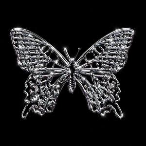 扇动这一季风的蝴蝶