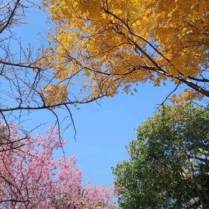 蓝色的死生契阔