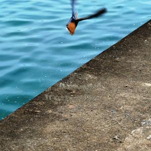 9.8 M/S^2 (Drumless 72bpm)