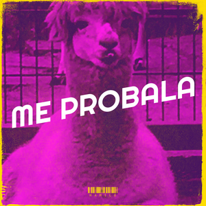 Me Probala