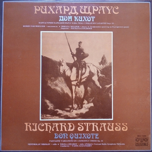 Don Quixote, Op. 35, TrV 184: Part I
