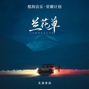 兰花草 (DJ墨韩Mix版)