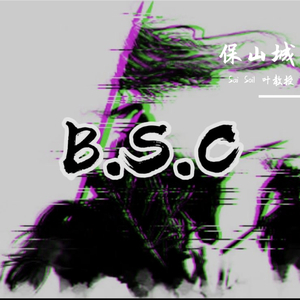 B.S.C