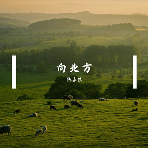 风从哪里来