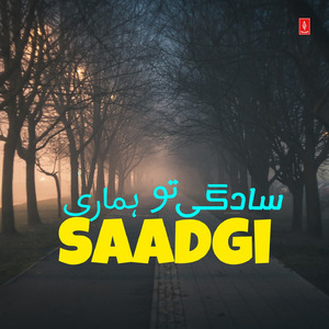 Saadgi