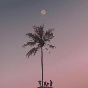 走着走着花就开了