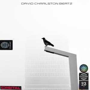 FreierWille (Hard Underground Dancehall Type Rap Beat)