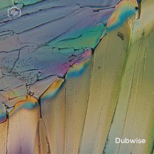 DUBWISE