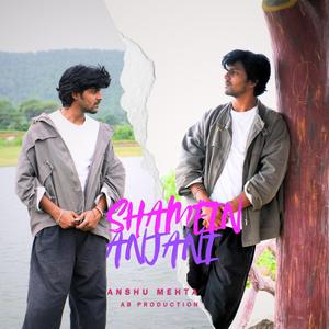 shamein anjani