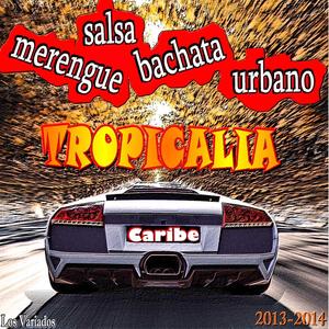 Decia Amarme