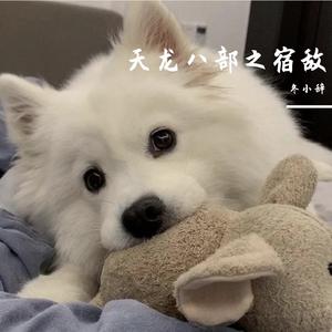 天龙八部之宿敌（抖音版）