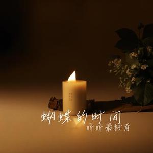 蝴蝶的时间 (Cover 许嵩)