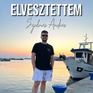 Elvesztettem