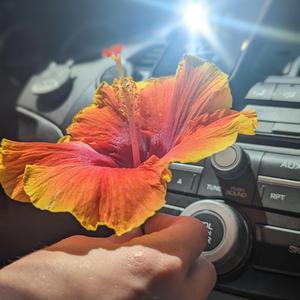 Slow and easy dont iliminate the distance (Alan Watts)