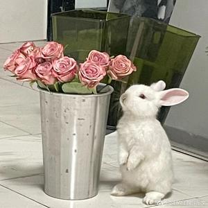 又是一个睡不着的夜晚