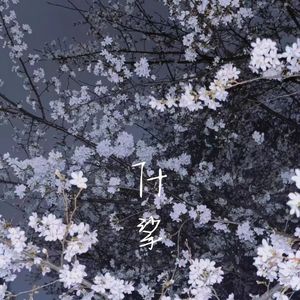 繁花碾作尘