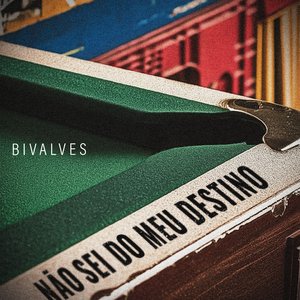 Não Sei Do Meu Destino