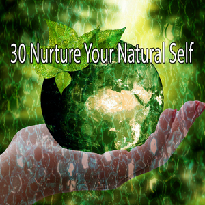 隱藏在自然的和平中