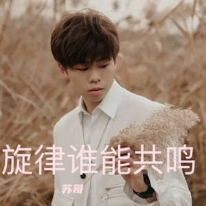 旋律谁能共鸣