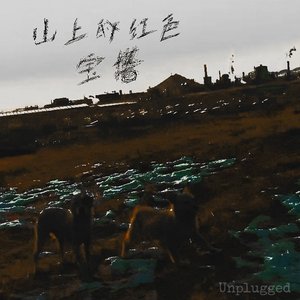 山上的红色宝塔（Unplugged）