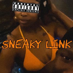 Sneaky Link