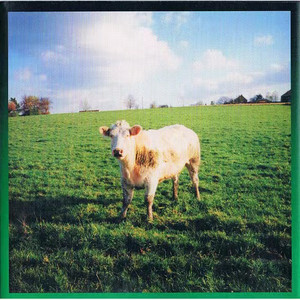 Trans Europe Express