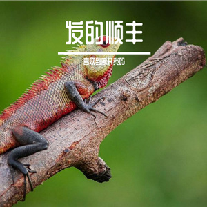 瀵掗甫涓庡啲澶