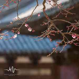 缓缓流水笛音养神 (芦笛)