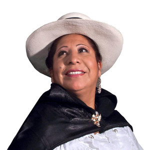 Vicuñita