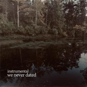 we never dated (no/vox’s version)
