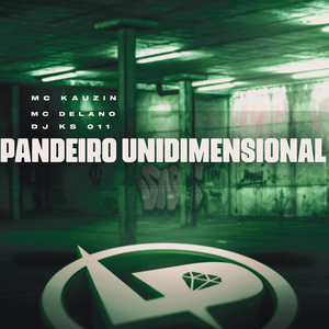 Pandeiro Unidimensional