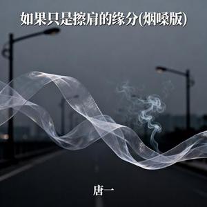 如果只是擦肩的缘分