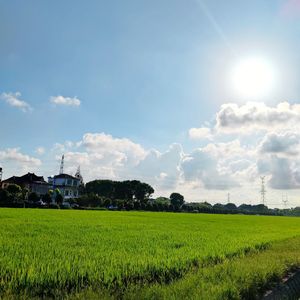 《一座村庄的相对静止》主题曲