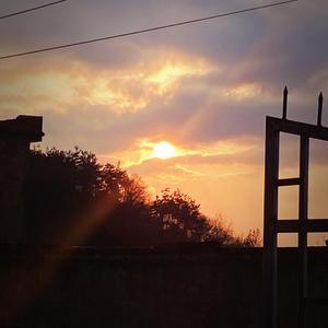 陈逸伦的解放西（翻自 柳爽）