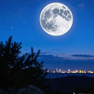 月光竹简