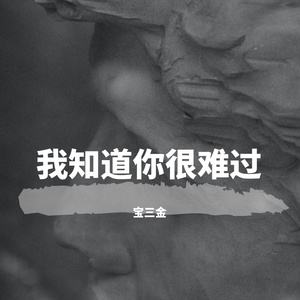 我知道你很难过（cover：胡彦斌）（翻自 胡彦斌）