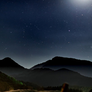 コンドルは空高く