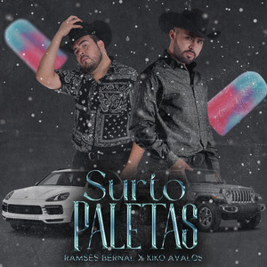 Surto Paletas