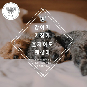 [강아지 자장가] 슈만 - 어린이의 정경 `꿈` (호수가를 산책하며)