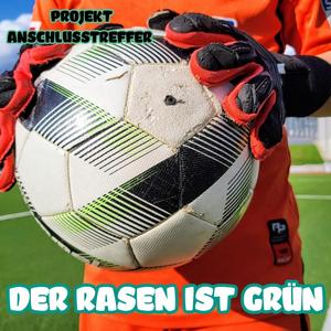 Der Rasen ist grün