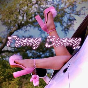 Funny Bunny
