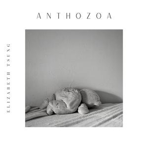 Anthozoa
