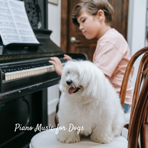 Upright Piano for Detoxifying
