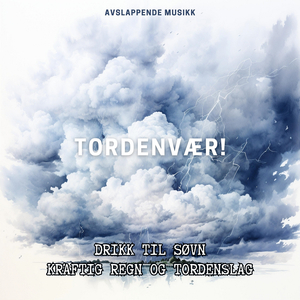 I Stormens Øye