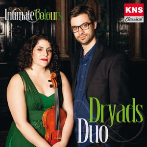 Sonata for Violin and Piano in E Minor, Op. 82: III. Allegro non troppo