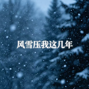 风雪压我这几年
