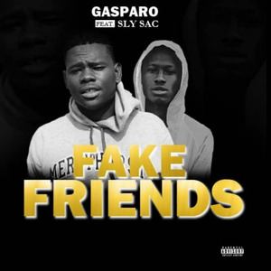 Fake Friends