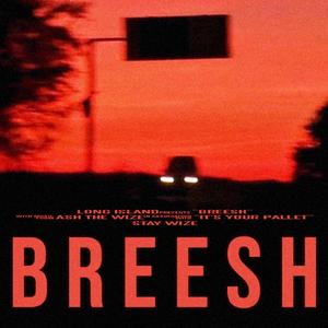 Breesh